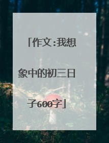 作文:我想象中的初三日子600字