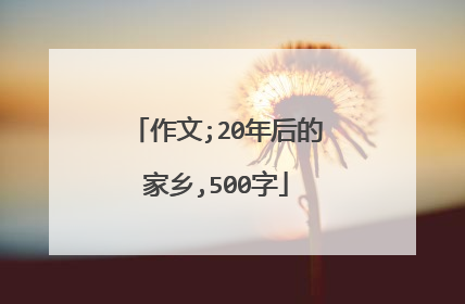 作文;20年后的家乡,500字