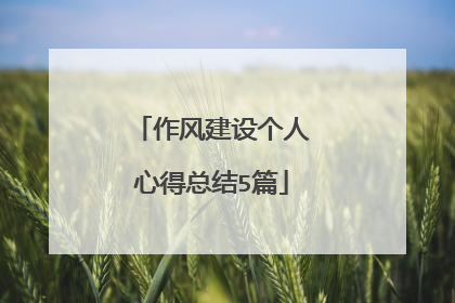 作风建设个人心得总结5篇