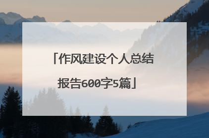 作风建设个人总结报告600字5篇