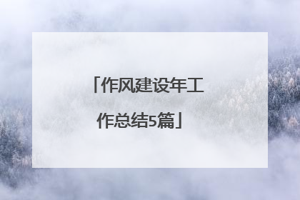 作风建设年工作总结5篇