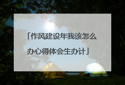 作风建设年我该怎么办心得体会生办计