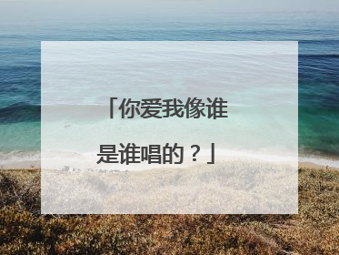 你爱我像谁是谁唱的？