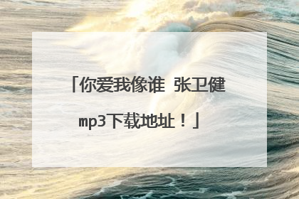 你爱我像谁 张卫健mp3下载地址！