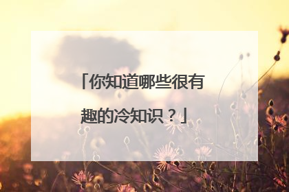 你知道哪些很有趣的冷知识？