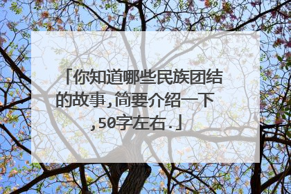 你知道哪些民族团结的故事,简要介绍一下,50字左右.