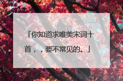 你知道求唯美宋词十首，，要不常见的。
