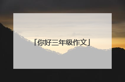 你好三年级作文