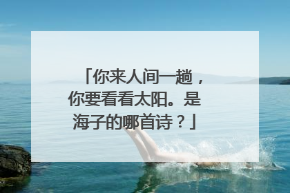 你来人间一趟,你要看看太阳。是海子的哪首诗?