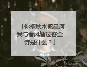 你携秋水揽星河我与春风皆过客全诗是什么？