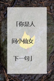 你是人间小仙女下一句