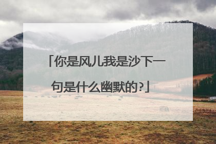 你是风儿我是沙下一句是什么幽默的?