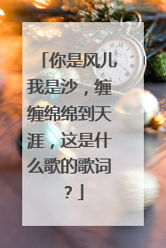 你是风儿我是沙，缠缠绵绵到天涯，这是什么歌的歌词？