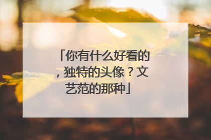 你有什么好看的，独特的头像？文艺范的那种