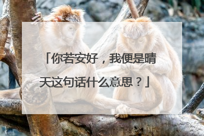 你若安好，我便是晴天这句话什么意思？