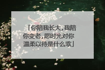 你陪我长大,我陪你变老,愿时光对你温柔以待是什么歌