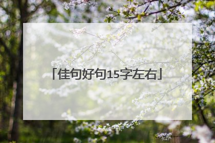 佳句好句15字左右