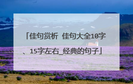 佳句赏析 佳句大全10字、15字左右_经典的句子