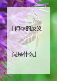 侮辱的反义词是什么