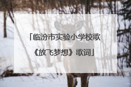 临汾市实验小学校歌《放飞梦想》歌词