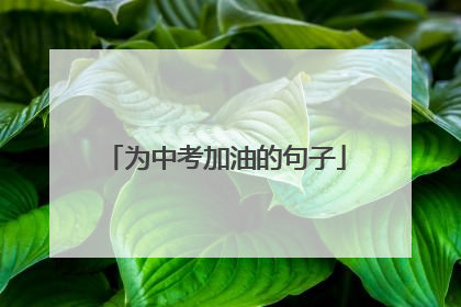 为中考加油的句子