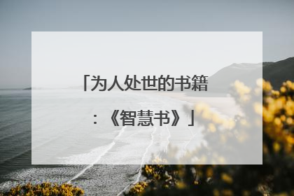 为人处世的书籍：《智慧书》