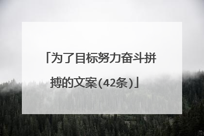 为了目标努力奋斗拼搏的文案(42条)