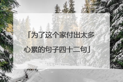 为了这个家付出太多心累的句子四十二句