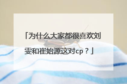 为什么大家都很喜欢刘雯和崔始源这对cp？