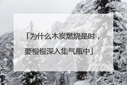 为什么木炭燃烧是时，要慢慢深入集气瓶中