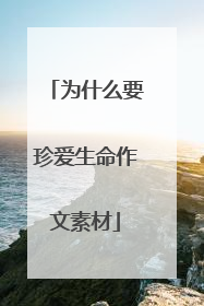 为什么要珍爱生命作文素材