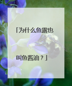 为什么鱼露也叫鱼酱油？
