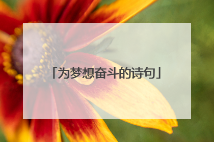 为梦想奋斗的诗句