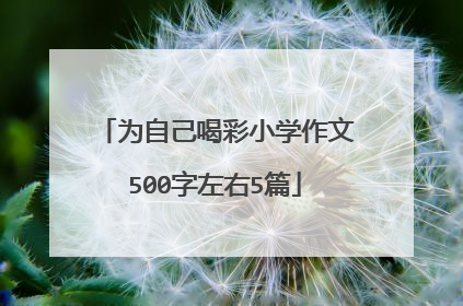 为自己喝彩小学作文500字左右5篇
