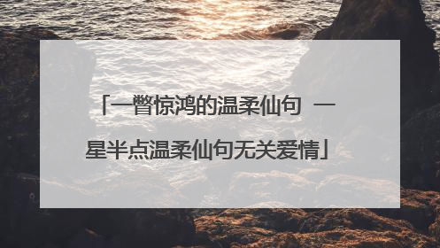 一瞥惊鸿的温柔仙句 一星半点温柔仙句无关爱情
