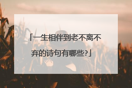 一生相伴到老不离不弃的诗句有哪些?