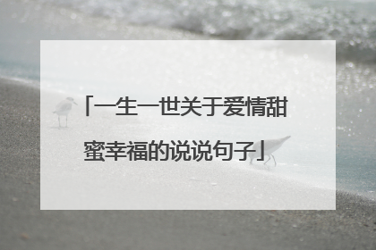 一生一世关于爱情甜蜜幸福的说说句子