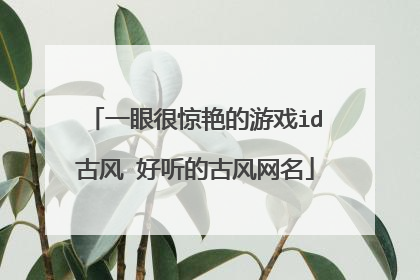 一眼很惊艳的游戏id古风 好听的古风网名