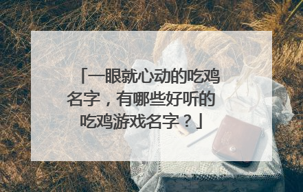 一眼就心动的吃鸡名字，有哪些好听的吃鸡游戏名字？