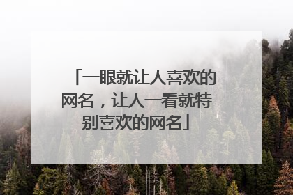 一眼就让人喜欢的网名，让人一看就特别喜欢的网名