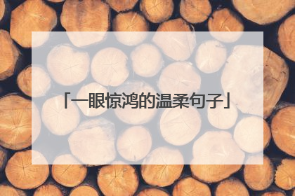 一眼惊鸿的温柔句子