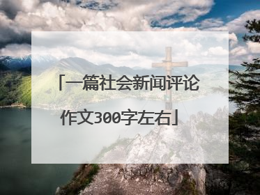 一篇社会新闻评论作文300字左右