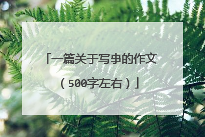 一篇关于写事的作文（500字左右）