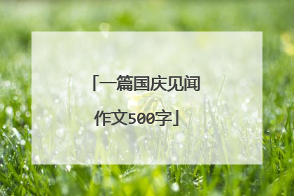 一篇国庆见闻作文500字