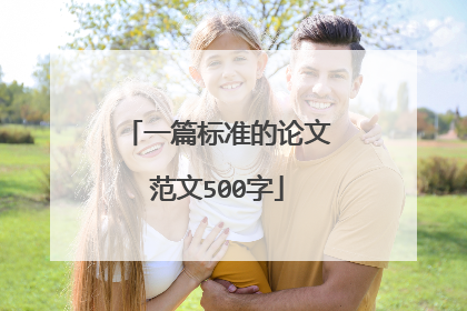 一篇标准的论文范文500字