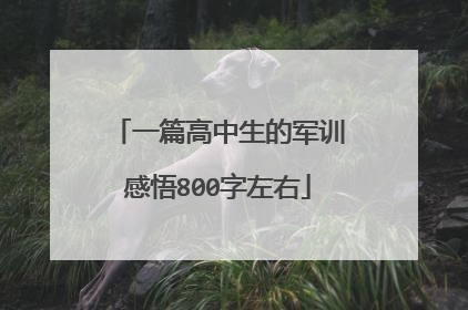一篇高中生的军训感悟800字左右