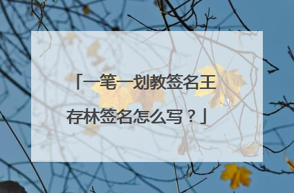 一笔一划教签名王存林签名怎么写？