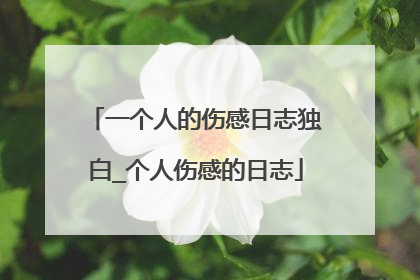 一个人的伤感日志独白_个人伤感的日志