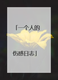 一个人的伤感日志