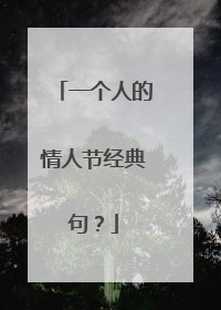 一个人的情人节经典句？